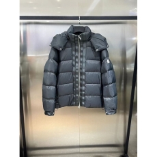 Louis Vuitton Down Jackets